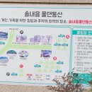 솔내음물댄동산 | [캠핑장] 장성 솔내음물댄동산 캠핑장 후기