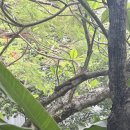 한국해양수조공사 | 싱가포르 오셔너리움, 솔직히 가격값 할까?