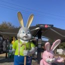 이방로 | 경남 창녕 아이랑 가볼만한곳 🐰 - 산토끼노래동산 나들이 후기