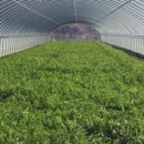 솔그린농장 이미지