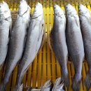 송도수산 이미지