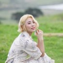 별처럼빛나는 Daum카페