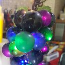 라비코리아 이미지