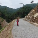 용호상사 이미지