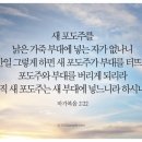 새 포도주는 새 부대에 (막2:21-22) 이미지