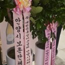 상이군경회 안양시지회 이미지