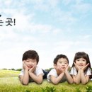 알콩쌀콩