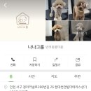 베이비그룸 이미지