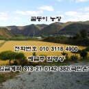 주봉초등학교(병설) 이미지