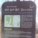 2026. 1/24(토) 1300차 서울 은평구 봉산 산행기록 이미지