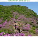 금강산화원
