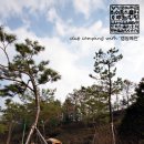 해여림식물원 | [2nd] 캠핑예찬 클럽 캠핑 - 여주 "해여림 식물원"