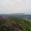 한치재주차장 Daum카페