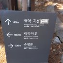 곡성-037 티스토리