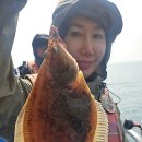 참가자미 이미지