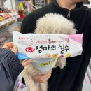 콜린펜션 | 확~마