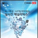 빅파스