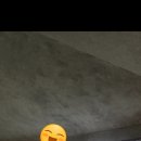 카페구할구제주
