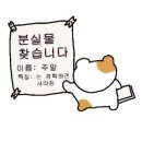 덕방천 네이버블로그