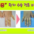 후메디앙스 이미지