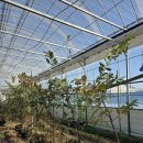 은혜농장 이미지