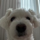 백상갈비 | 이젠 안춥겠지하며 쓰는 추운날 블로그