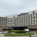 힐튼 경주 | 경주 힐튼호텔 프리미엄룸 숙박 후기, 부대시설, 다빈치 다이닝 소개