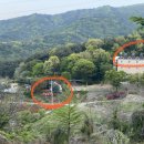 숲속의 섬 이미지