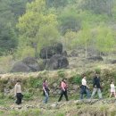 송전리하동 이미지