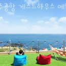 제주공항 게스트하우스 예스준 | 제주도게스트하우스 제주공항 게스트하우스 예스준 제주도여행할 때 제주서쪽숙소 가성비 게하 추천!