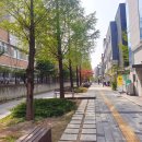 충의 K타이거즈 태권도장 이미지