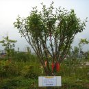 헌수농장 이미지