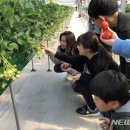 이준구농장 이미지