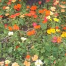 강동석과 화음챔버의 비발디 사계 이미지