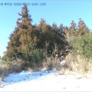 남원읍-44 이미지