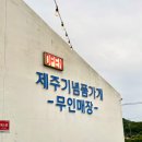 성산올레 | 제주 서귀포 무인 소품샵 제주기념품가게 올레파머스 성산 후기