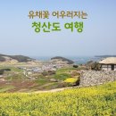 [섬여행 2탄] 2017/04/16 유채꽃과 느림의 행복을 만끽할수 있는 청산도-취소- 2030여행동호회 이미지