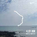 맛있성 | 제주 구좌 조식 주는 감성숙소 한편 E열 1번 내돈내산 후기