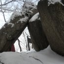 눈꽃이피다 이미지