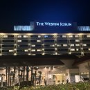 해피하이 | 웨스틴조선부산 이그제큐티브 객실 후기｜라운지 조식·해피아워 솔직 리뷰