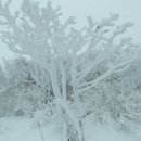 흥진주유소 이미지