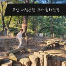 서림공원 유아숲체험원 이미지