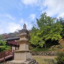 영랑생가 (카페 시랑) | [전라남도 해남] 늦가을 남도 여행 1. 해남의 천년 고찰 대흥사