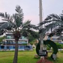 카우스톨 이미지