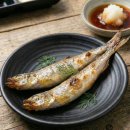 백곰횟집 | 마포 회백반- 회백반 먹으러 쌍마횟집 다녀온 찐후기 (2026년 최신)