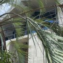 노을1(숙소옆) 이미지