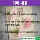 에이플러스영수학원 - 용인시 기흥구 구성3로28번길 20 | 에이플러스영수학원