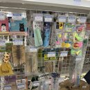 예뻐지개냥 이미지