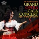 OPERA GALA CONCERT 이미지