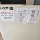 강원동물병원 | [강릉] 곰곰동물병원 방문후기